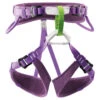 Baudrier Escalade Enfant MACCHU Violet Petzl